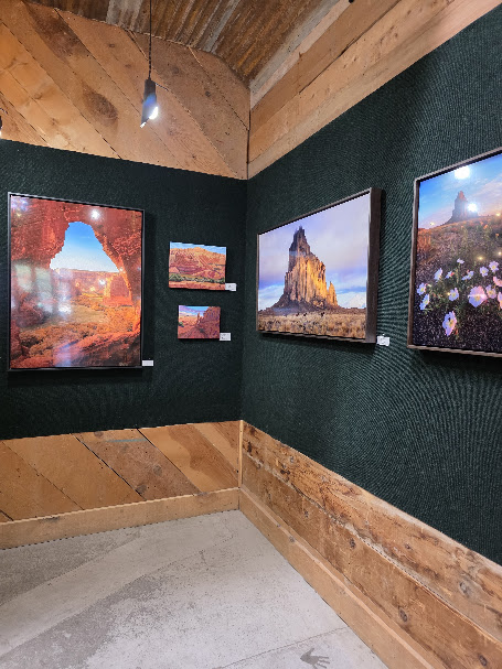 Original artwork displayed for sale in a cozy coffeehouse gallery corner.